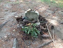 henrydavidthoreayGrave_of_Henry_David_Thoreau